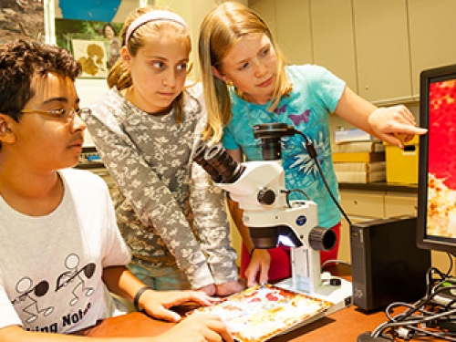 kids participating in educational program