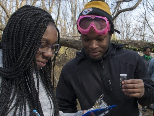 testing water samples