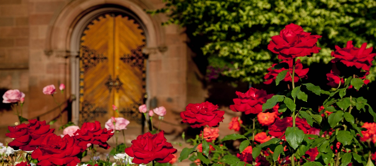 Castle door and rose garden