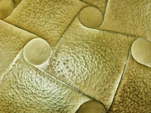 Close-up photograph of gold surface with bumpy texture and repeating pattern.