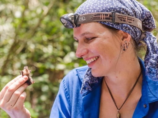 Postdoctoral Fellow at the Smithsonian Tropical Research Institute in Panama holding a small bat.