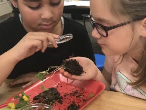 Students Study Field Sample